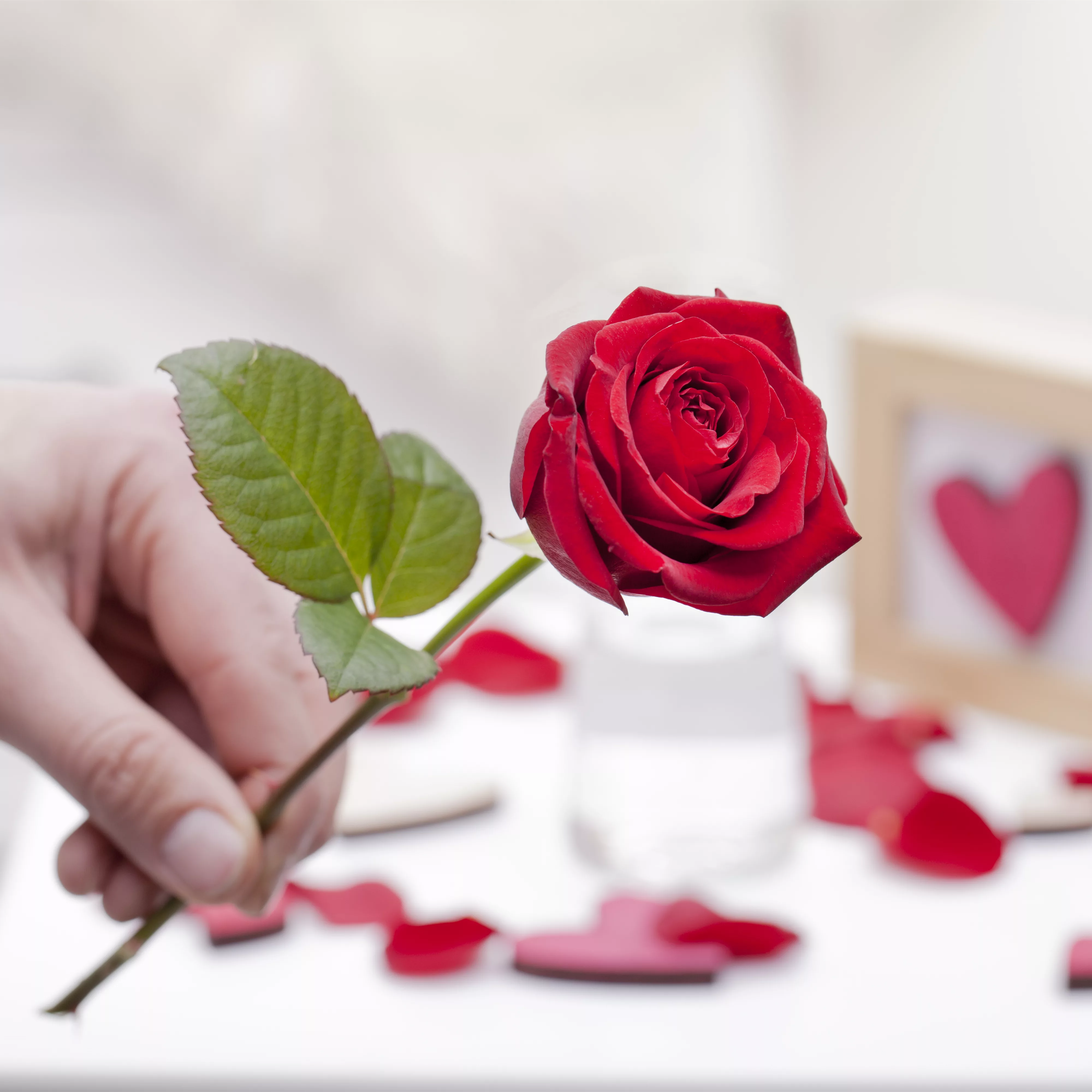 Blühender Valentinstag - für sie und ihn!