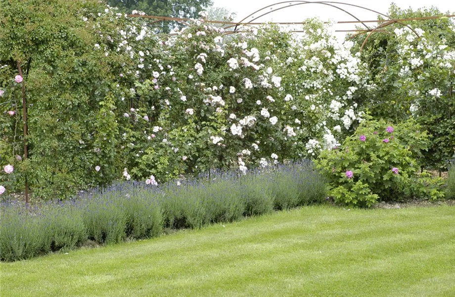 Ganz in Weiß – elegante Gartengestaltung mit Stil