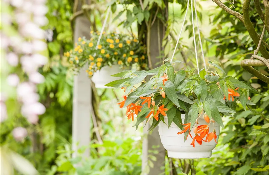 Urban Gardening trifft Upcycling – Blumenampeln aus einem Küchensieb