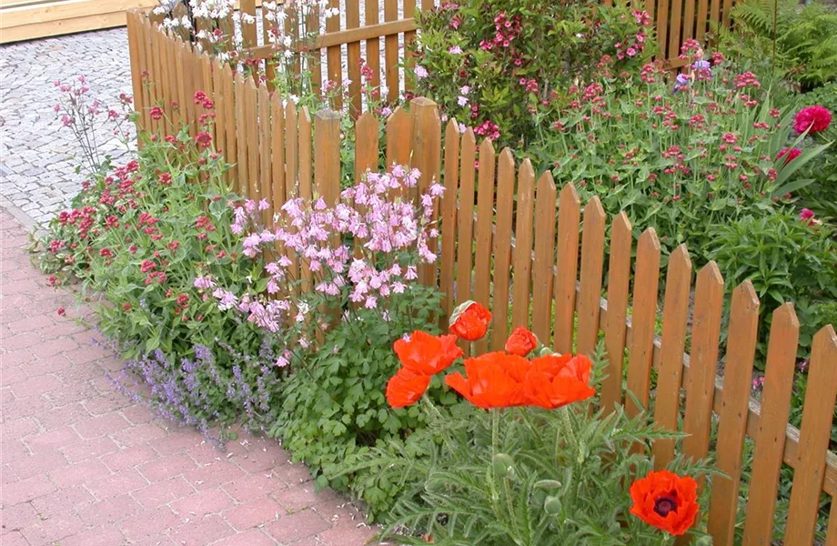 Schick eingerahmt: Gartenzäune sind nicht nur nützlich sondern auch schön