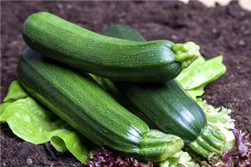 Tricks für reiche Zucchiniernte