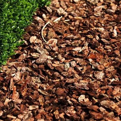 Der Mulch macht’s