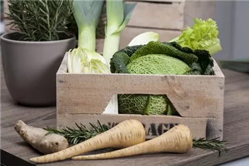 Lagergemüse trocken halten