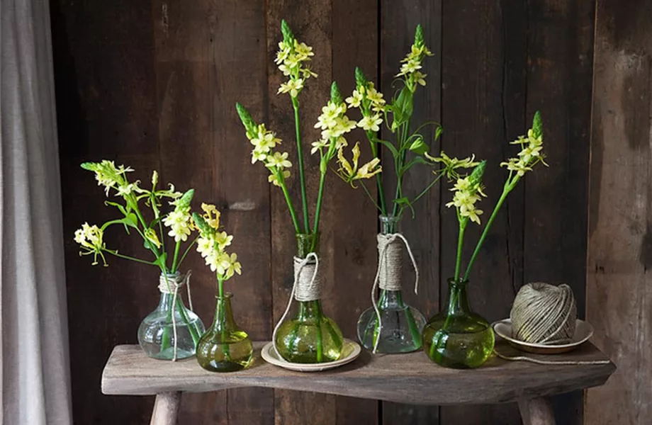 Blumendekoration leicht gemacht