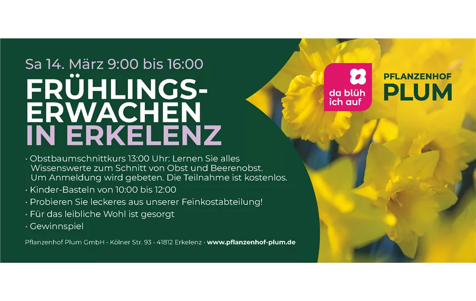 2602003 Plum Flyer Frühlingserwachen LAY02 DRUCK_Seite_2.jpg